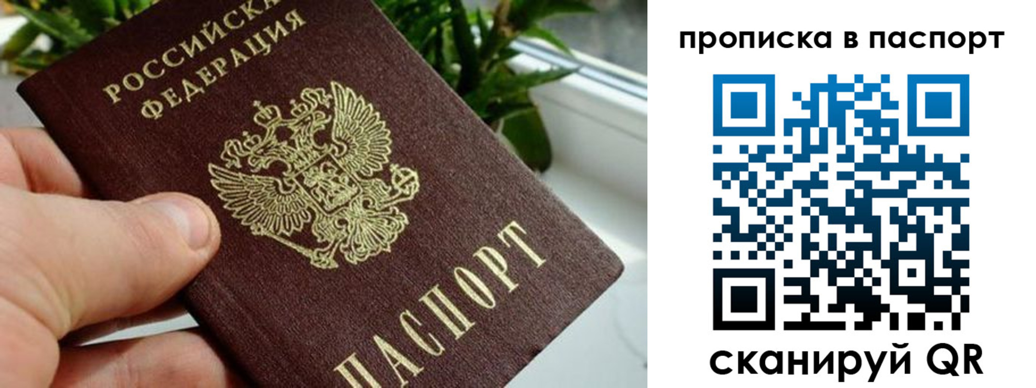 пропишу в квартире в Ардоне